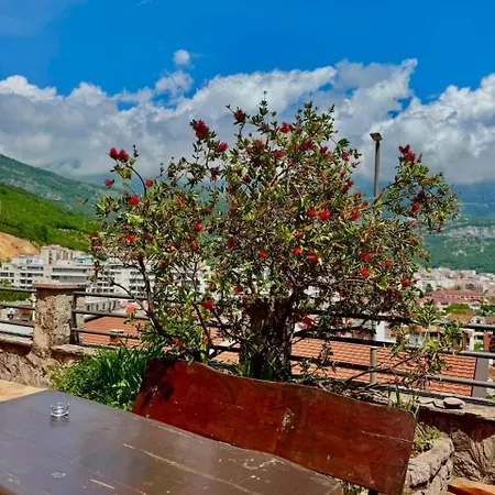 Lägenhet Contessa Budva