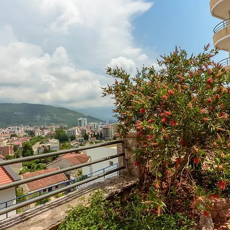 Contessa Budva